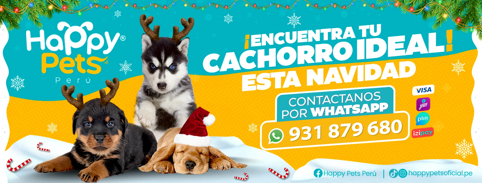 Cachorros en lima