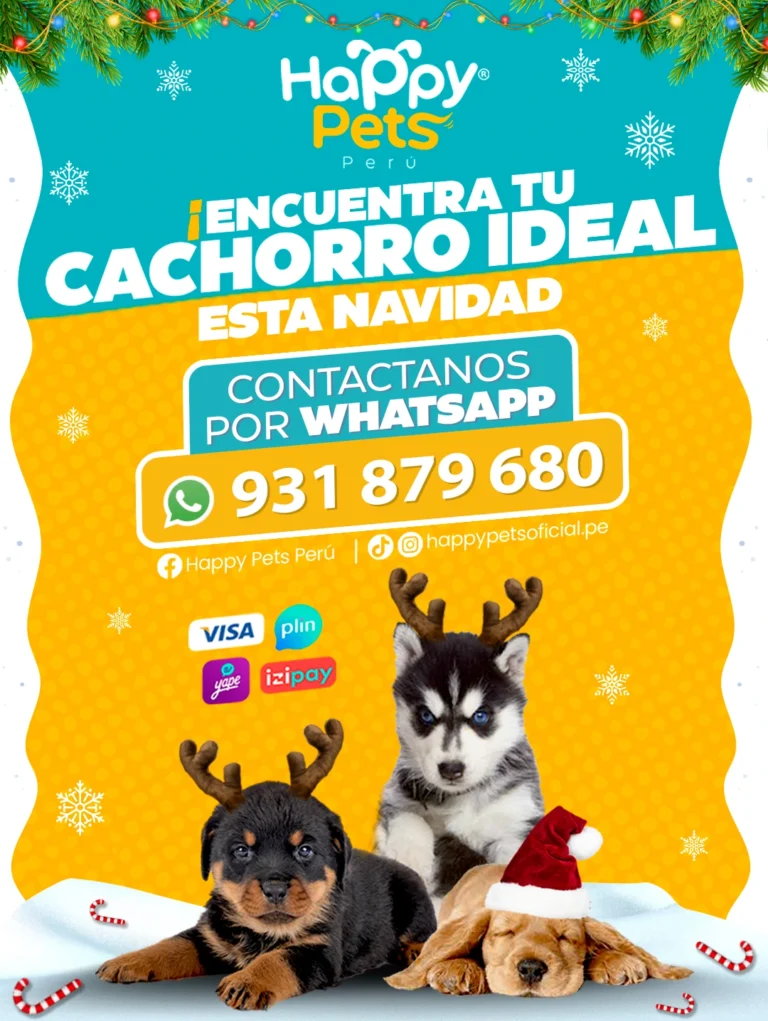 FORMATO-MOVIL